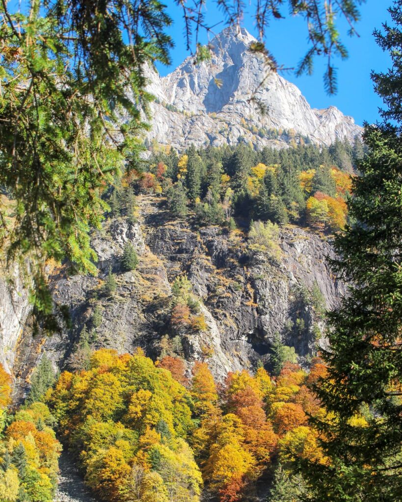 dove vedere il foliage in Lombardia