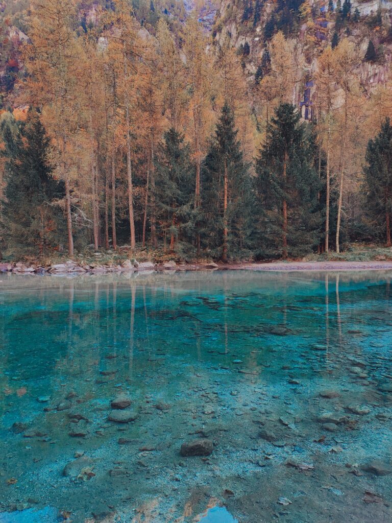 foliage val di mello