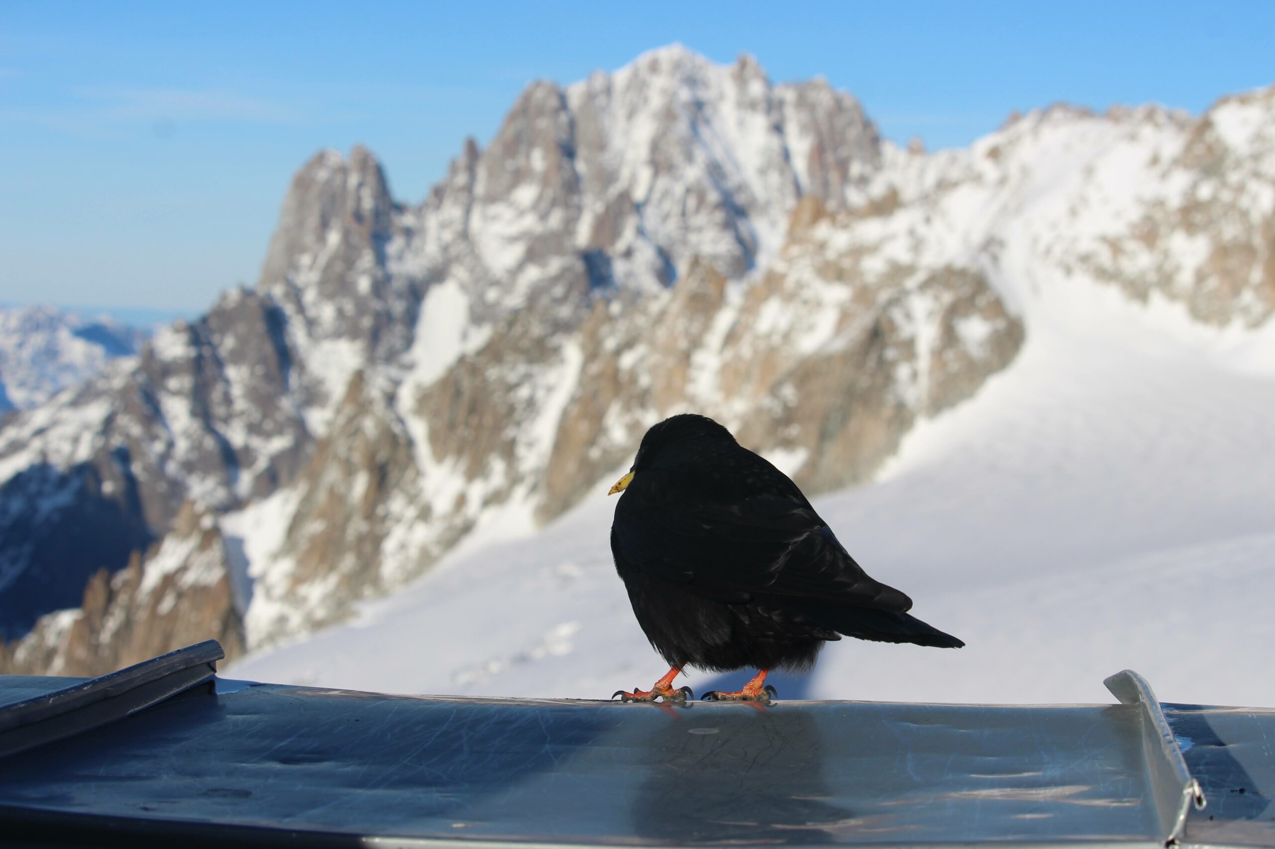 skyway montebianco vista