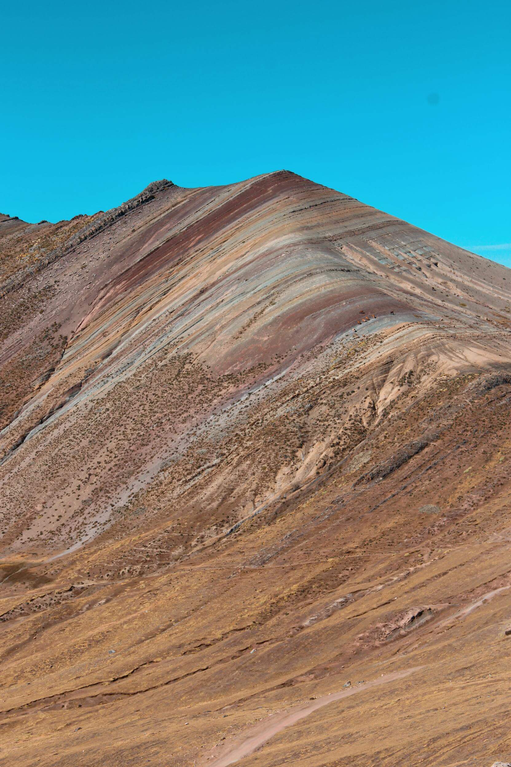 montagne colorate palcoyo