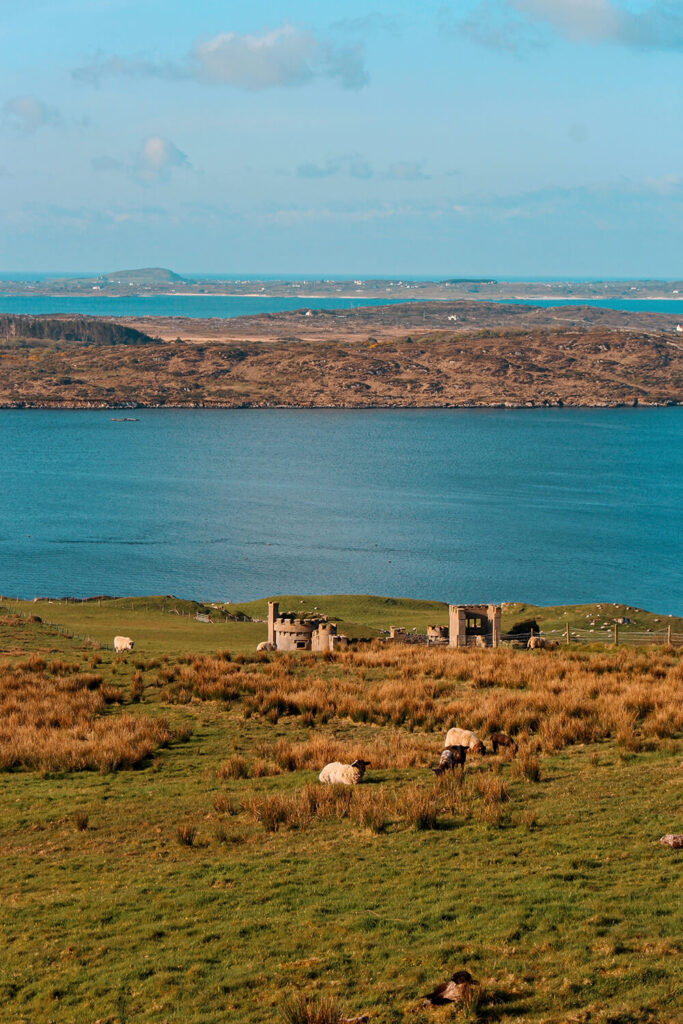 clifden castle