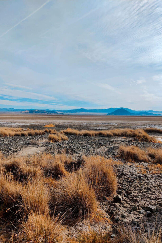 deserto las vegas (1) (1)