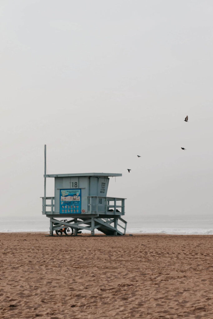 spiaggia venice beach (1)