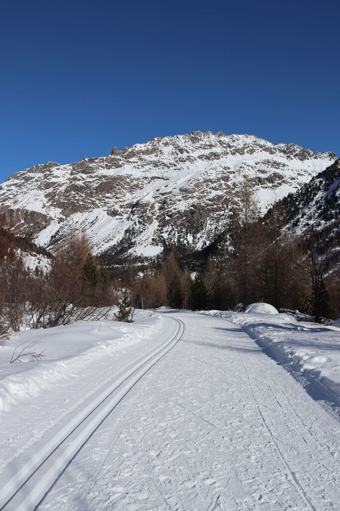 bernina train (1)