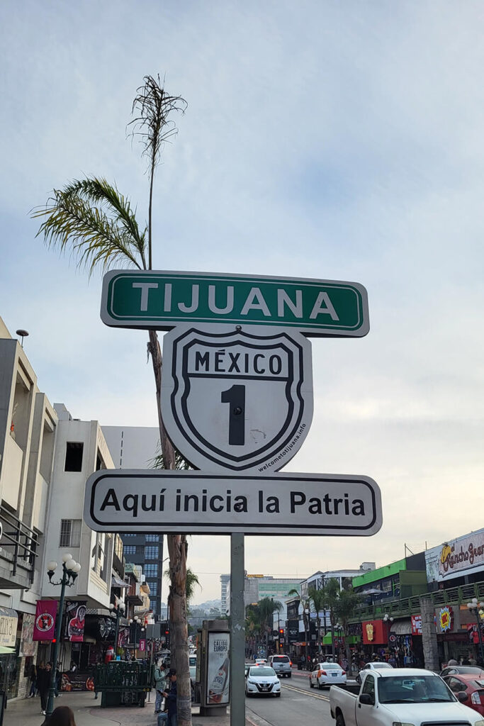 entrare in messico a piedi dagli usa (1)